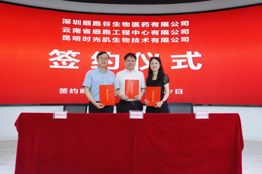 深圳凯发K8生物医药有限公司、云南省细胞工程中心有限公司及昆明时光肌生物技术有限公司达成战略合作