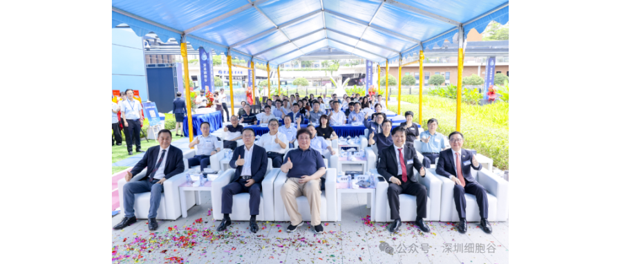 联动香港，开启前海细胞治疗新未来——深港凯发K8盛大开业