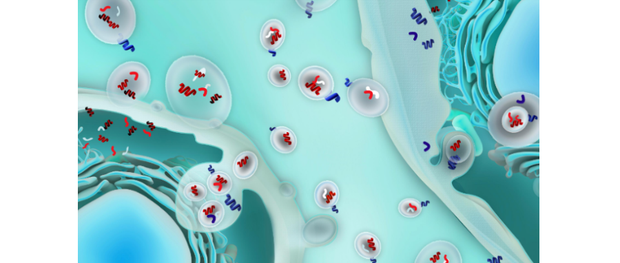 哪吒闹海！外泌体面纱大揭秘，我命由我不由天！