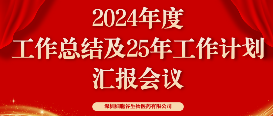 以初心致未来，共筑新辉煌 ——深圳凯发K82024年度管理层总结会顺利召开