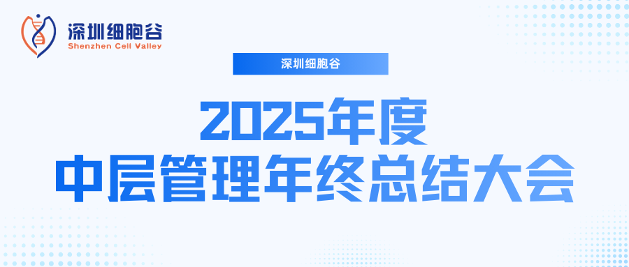 深圳凯发K8召开2025年度中层管理年终总结大会：多点布局成果丰硕，创新驱动快速开展