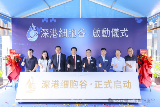 1775628048.png 图片.png